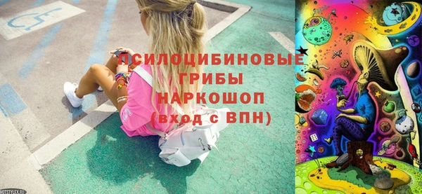 apvp Алзамай