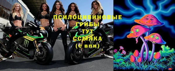 спиды Алексин