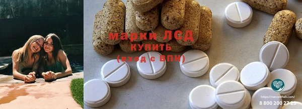 apvp Алзамай